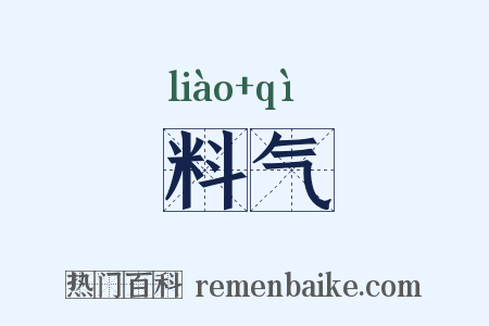 料气是什么意思的图片